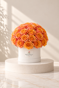 Sunset Peach Rose Box
